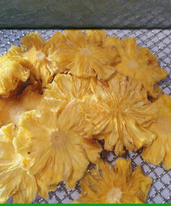 Alternative view of Sugar-Free Pineapple