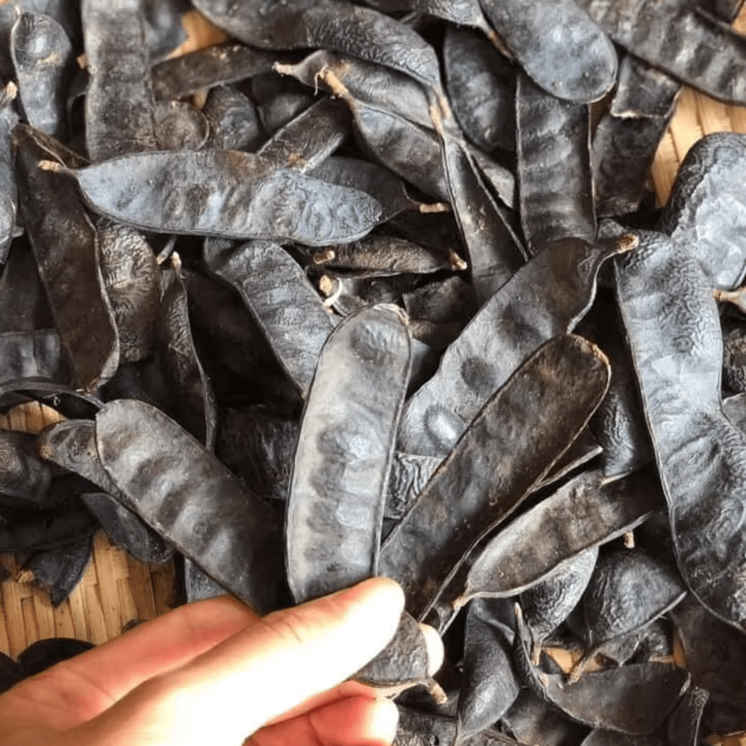 Black Locust - Image 2