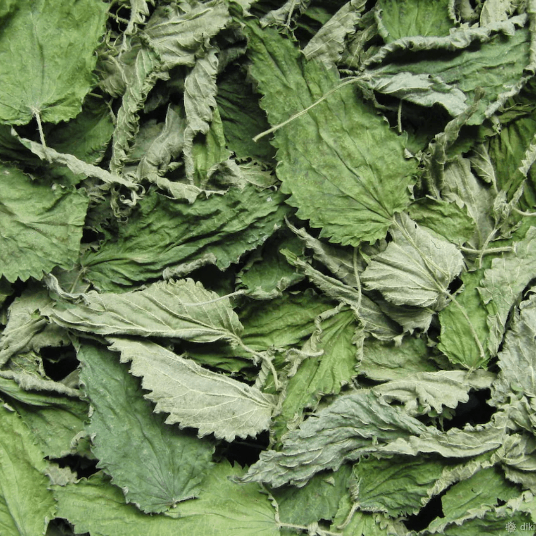 Dried Nettle Leaf - Image 3