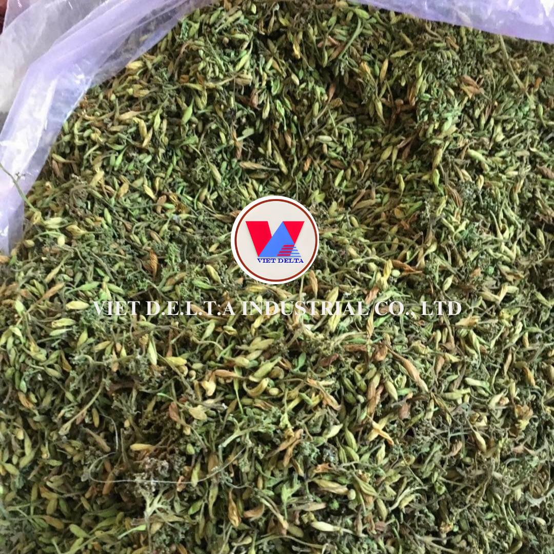 Dried Male Papaya Flower - Image 6