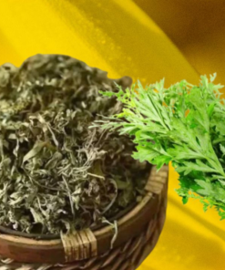 Dried Mugwort Leaves
