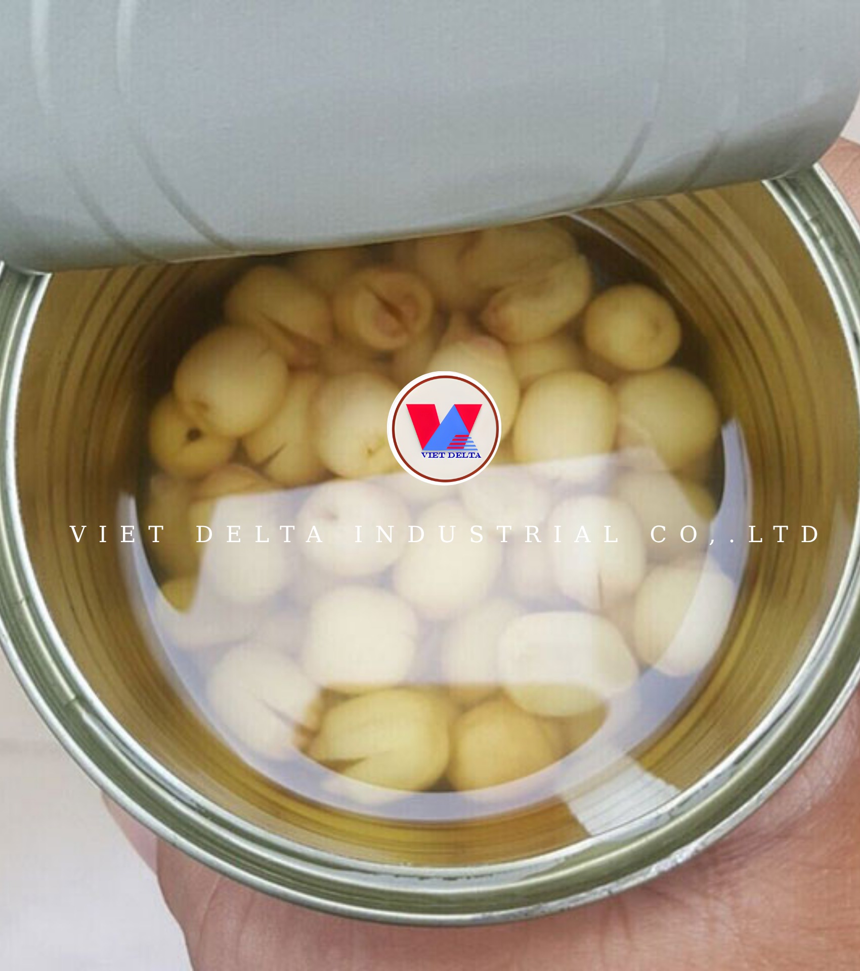 canned lotus seeds - Image 5
