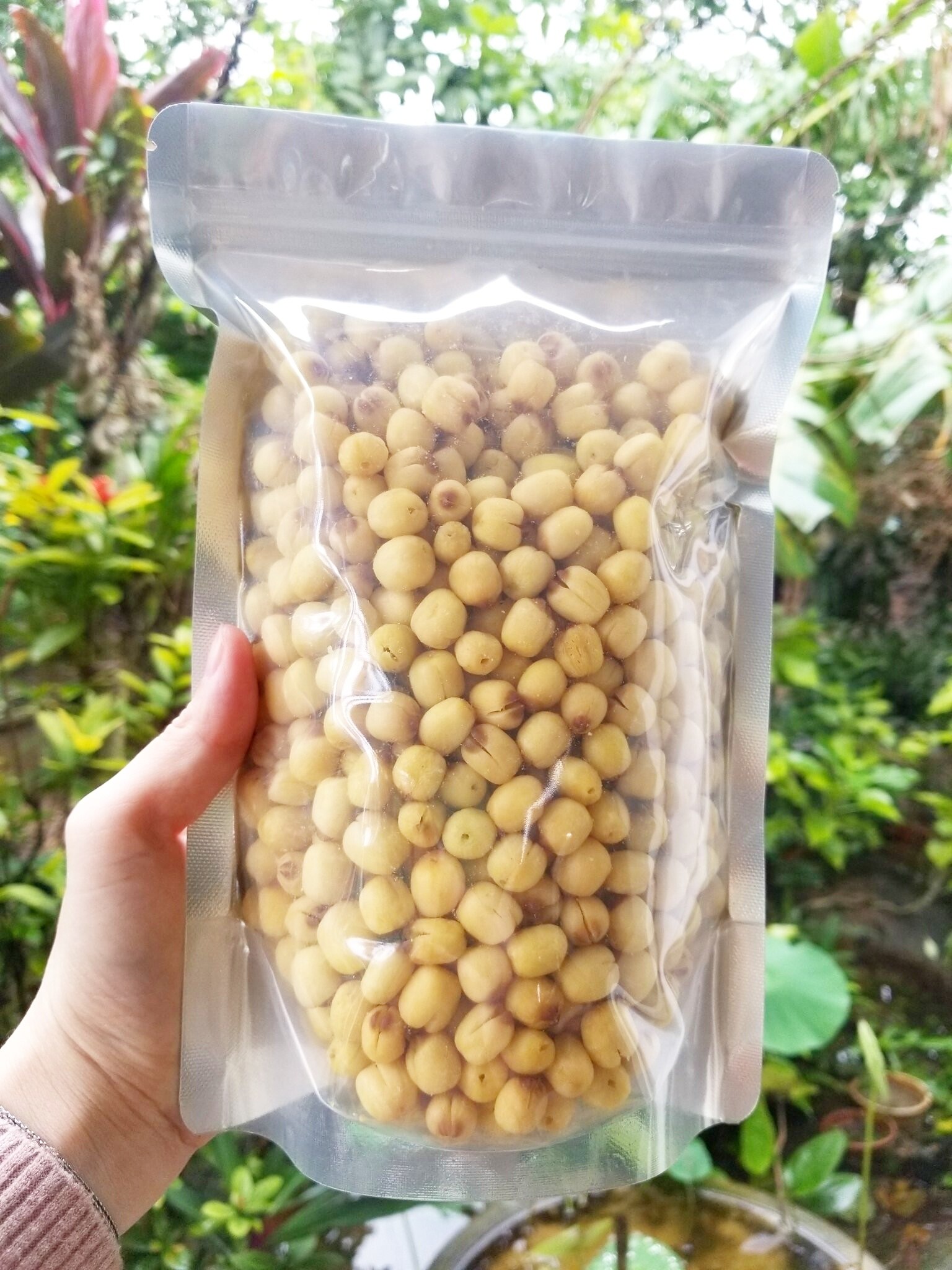 dried lotus seeds - Image 2