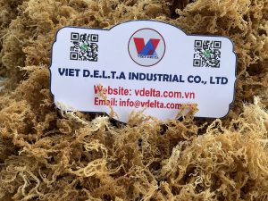 Dried Sea Moss