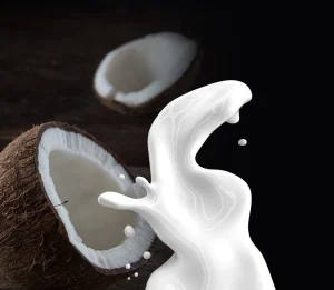Concentrated Coconut Milk