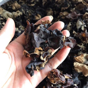 dried mushroom