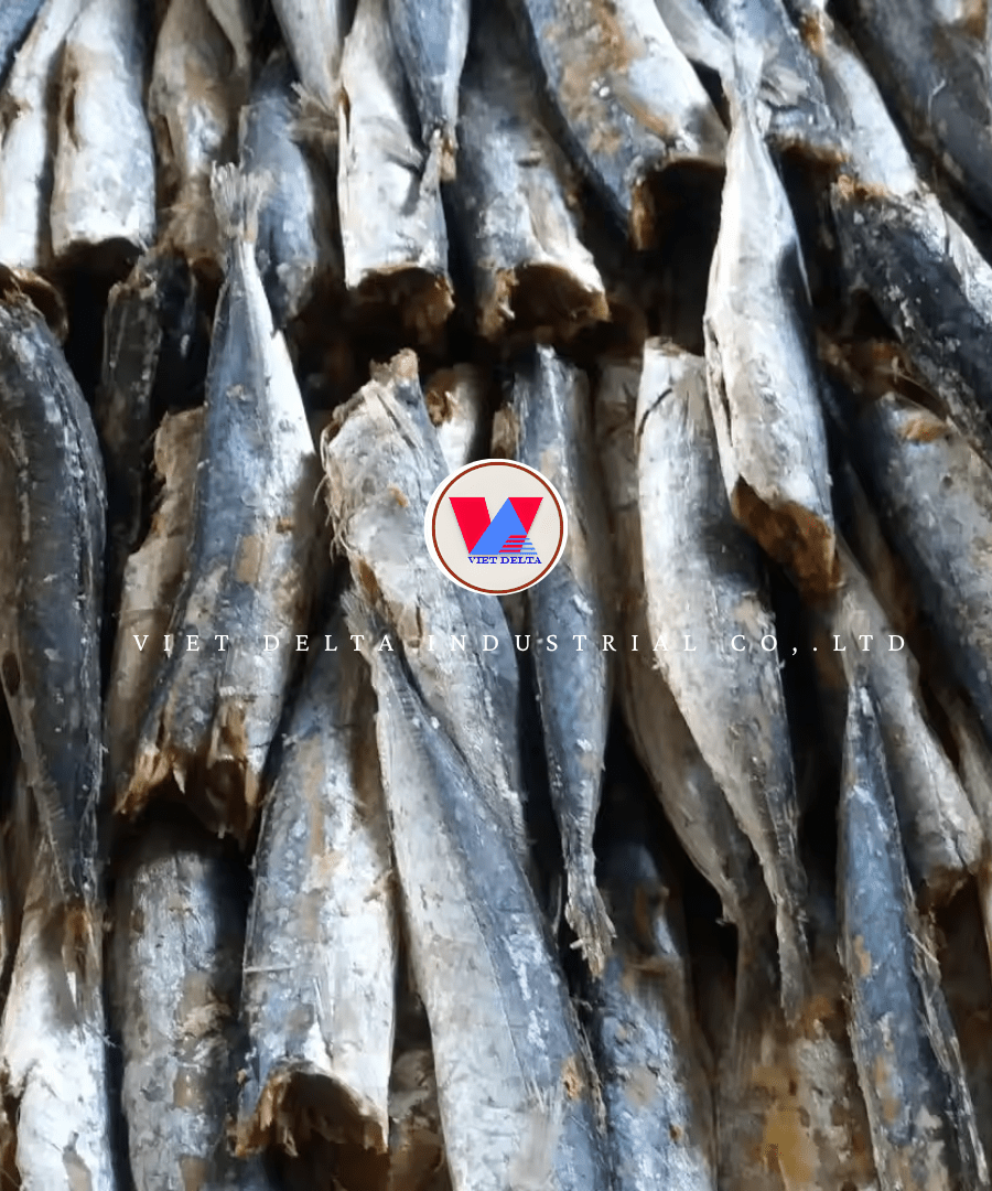 Dried Round Scad Fish - Image 5