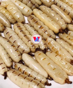 Termite Queen