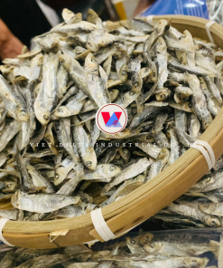 Dried Sardines