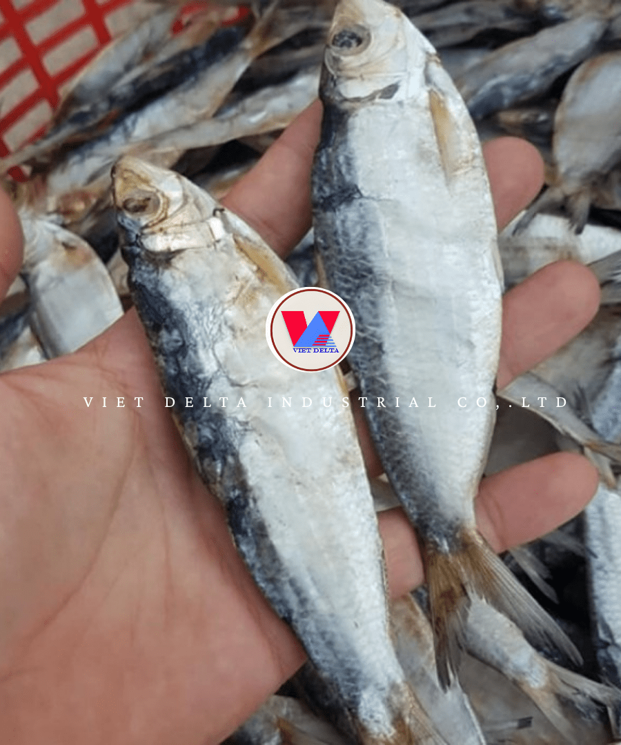 Dried Sardines - Image 5