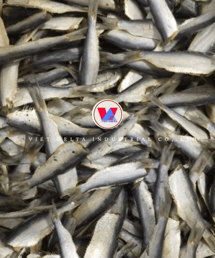 Dried Sardines - Image 3