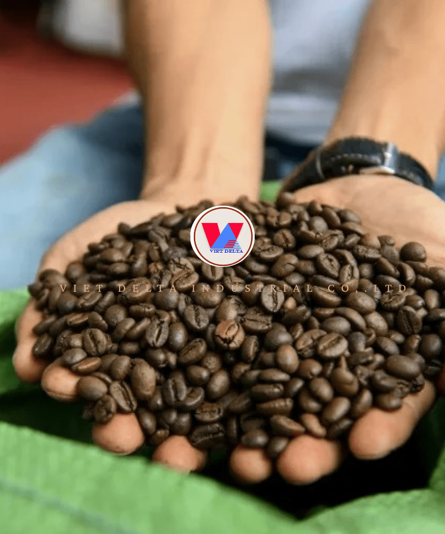 Robusta Coffee Beans - Image 4