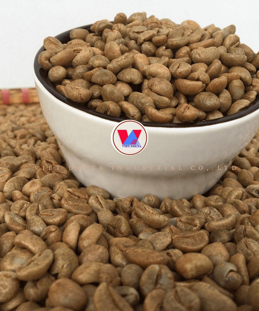 Robusta Coffee Beans - Image 2