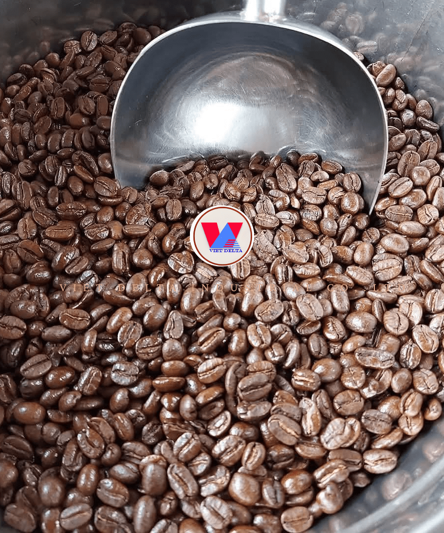 Robusta Coffee Beans