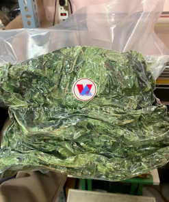 PAPAYA LEAVES