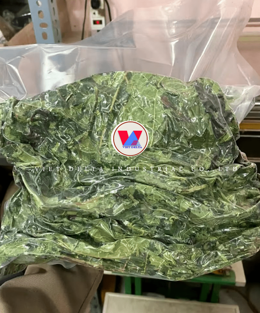 PAPAYA LEAVES