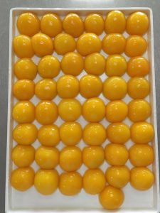 Canned Peaches In Syrup